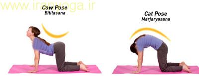 یوگا,دوران قاعدگی,تمرینات یوگا در دوران قاعدگی
